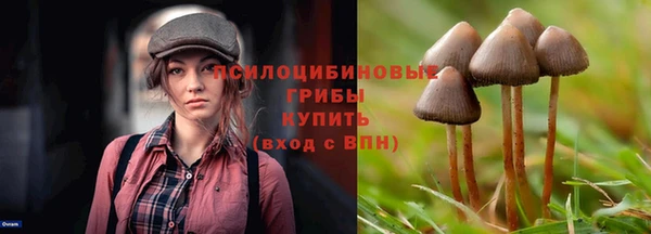 герыч Алексин