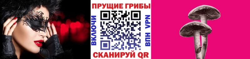 Псилоцибиновые грибы Psilocybe  закладки  MEGA ТОР  Красноярск 